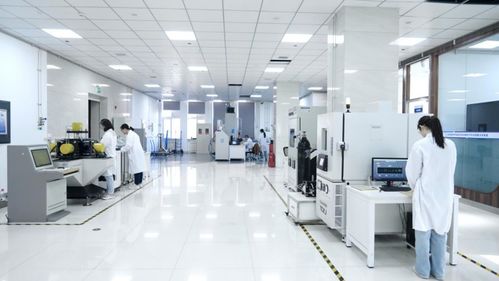 新技術激活新潛力 東北石油大學賦能國家能源安全與網(wǎng)絡信息安全軟件開發(fā)